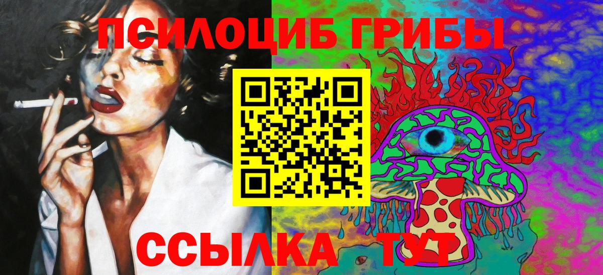 Галлюциногенные грибы Psilocybe  Вход с VPN  Амурск 